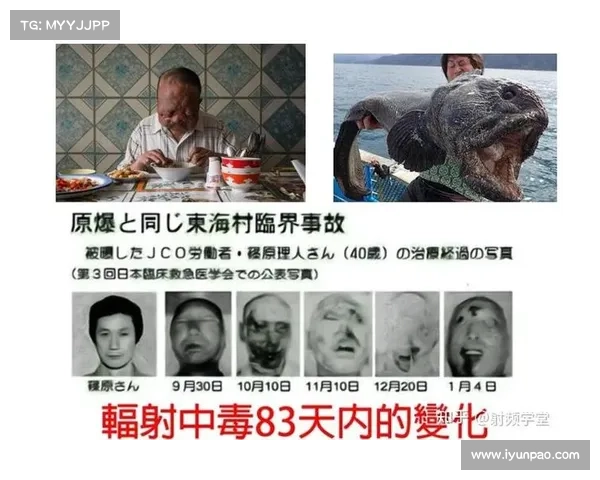 核辐射对人体的危害:深入解析 核辐射对人体的危害:深入解析
